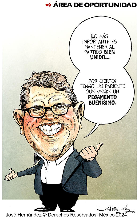 Areas de oportunidad